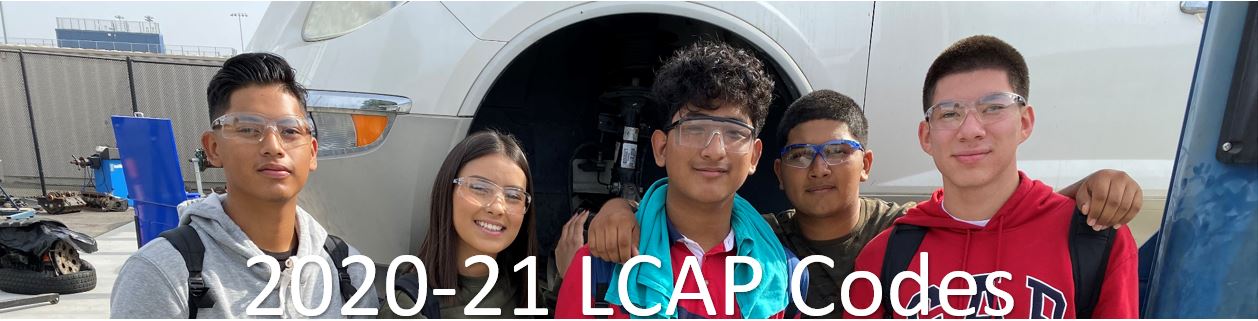 2020-21 LCAP Codes 